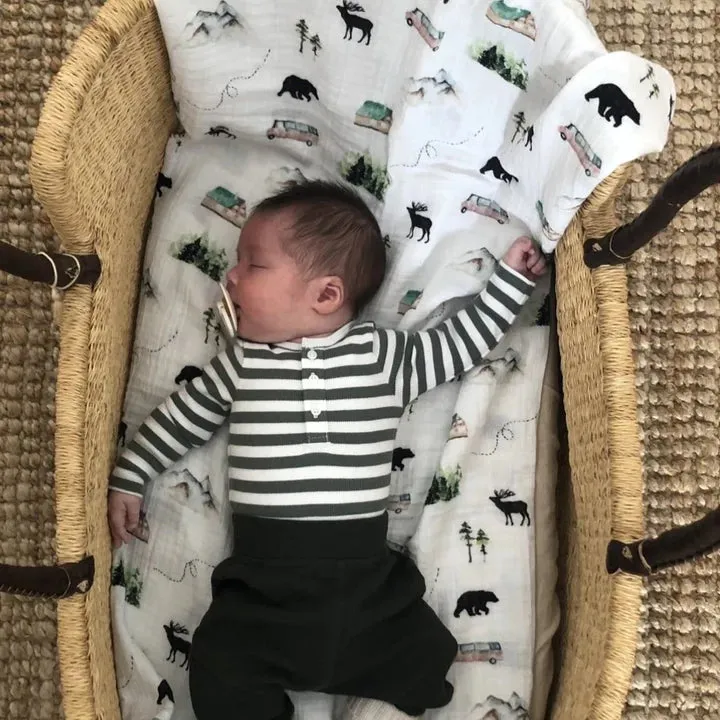 Organic Cotton Muslin Swaddle Alaska