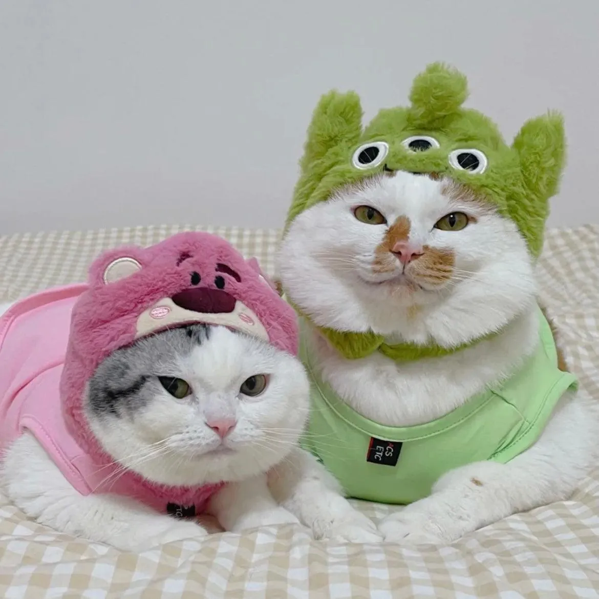 Pet Adjustable Hat with Ear Holes for Cats and Dogs - Monster
