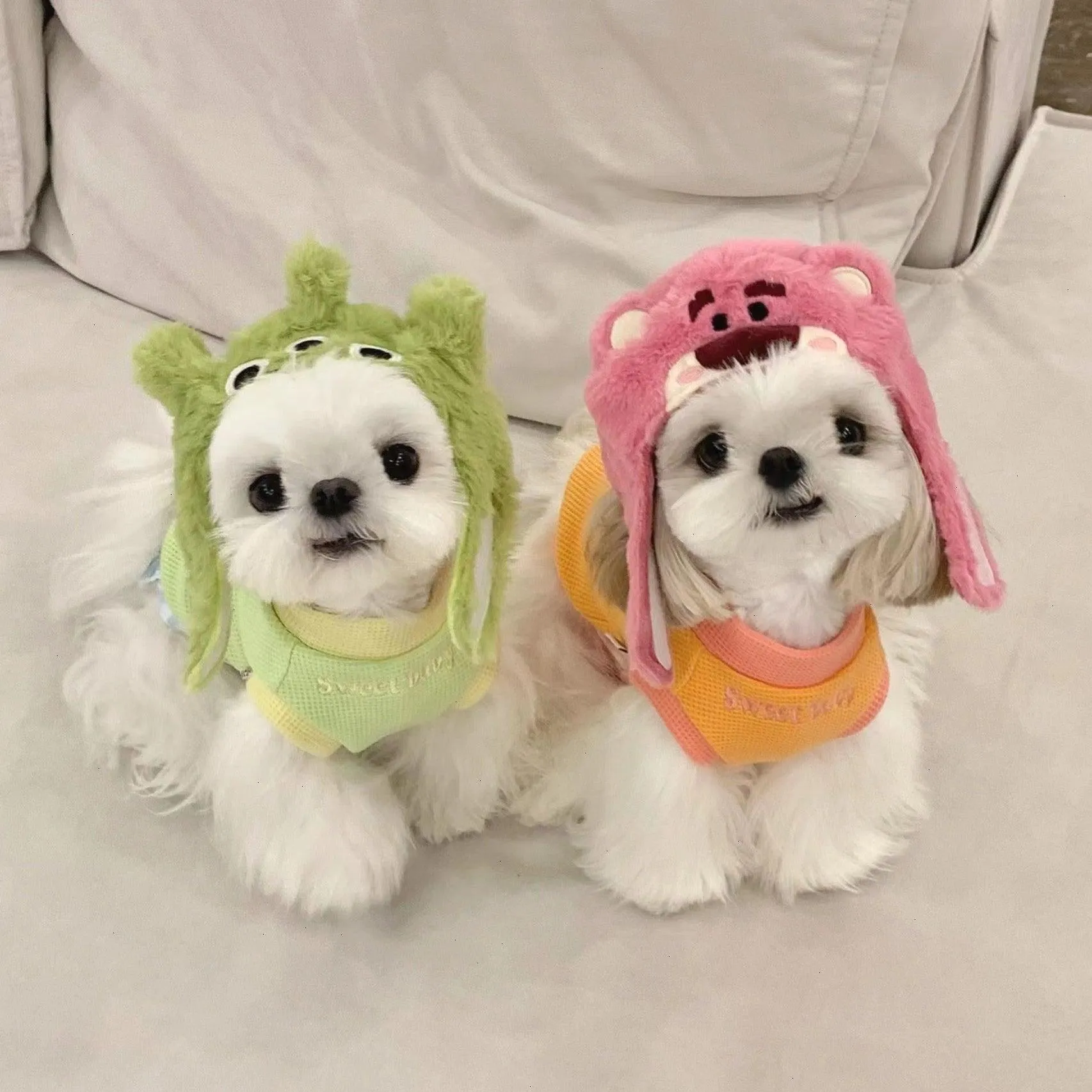 Pet Adjustable Hat with Ear Holes for Cats and Dogs - Monster