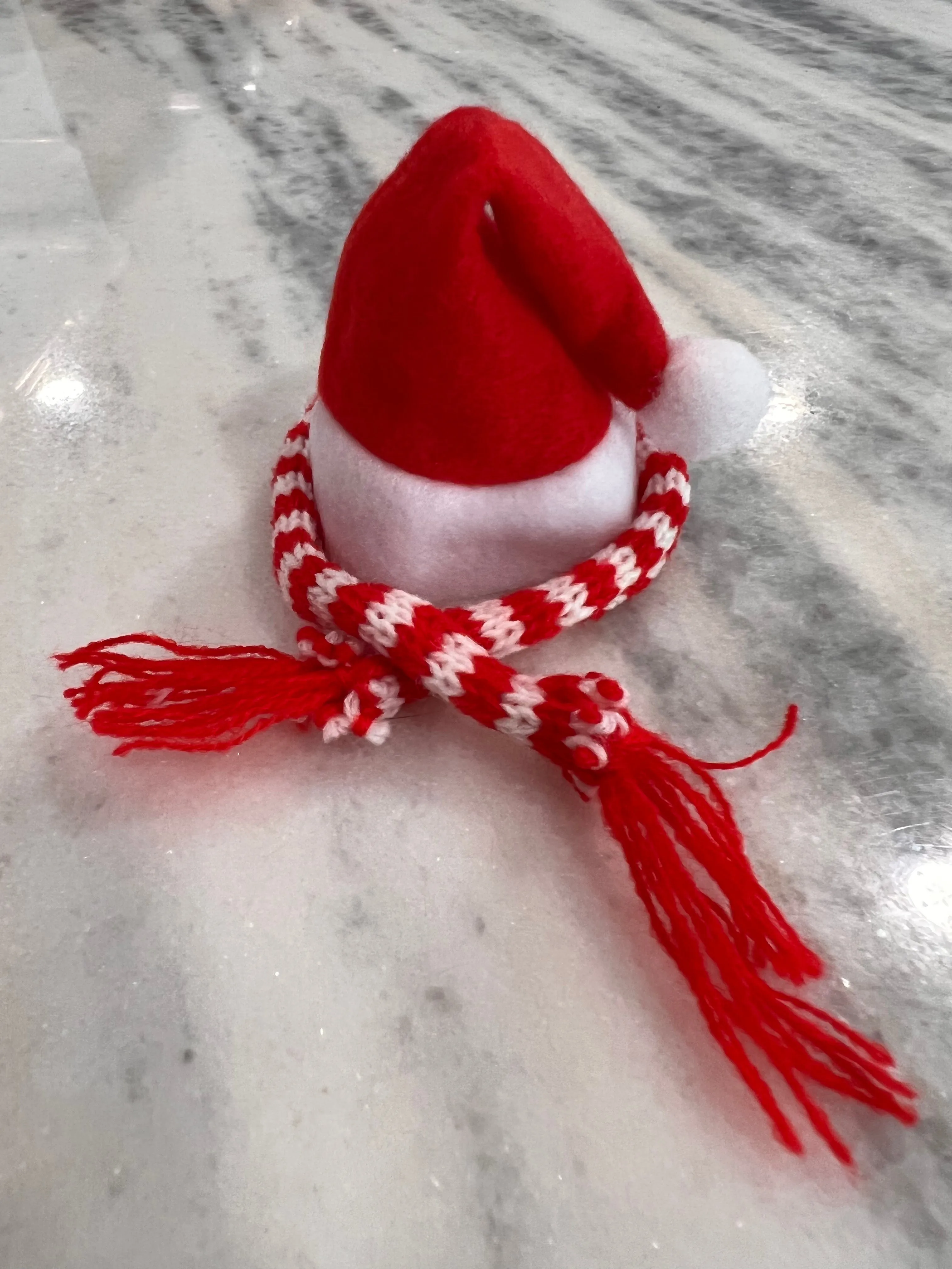 Santa Hat and Scarf