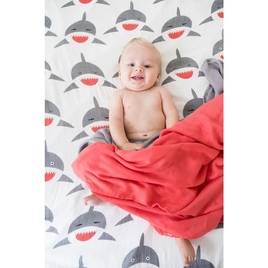 Tula Blanket - Chomp (Set of 3) **Pre-Order**