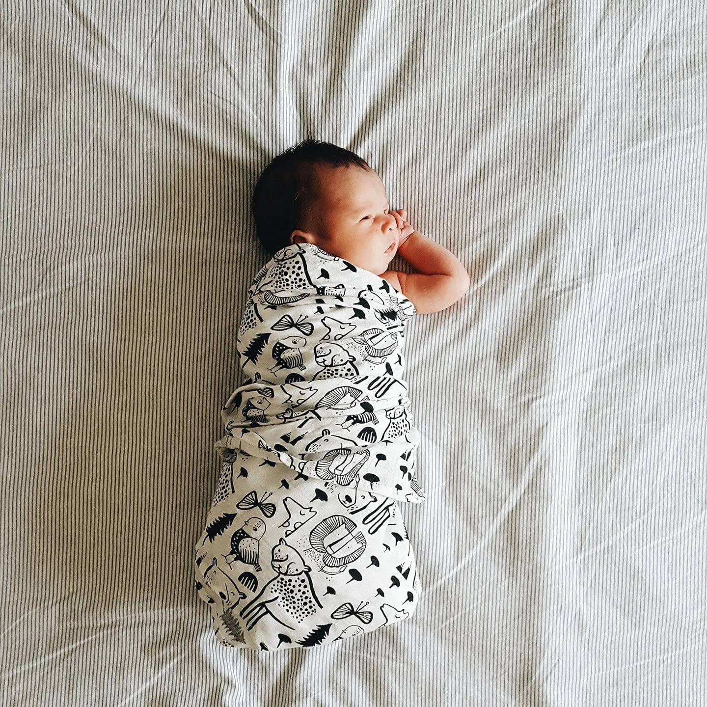 Wee Gallery Wild Muslin Swaddle